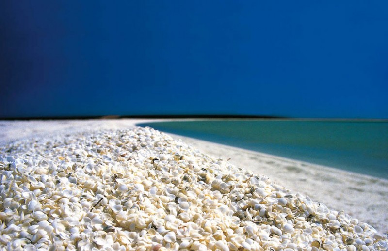 Unique and unusual beaches in the world. Shell Beach in Australia
