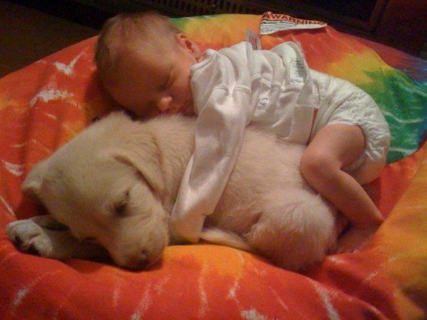 This photo presents one of the most adorable baby-dog friendships.