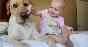 This photo presents one of the most adorable baby-dog friendships.