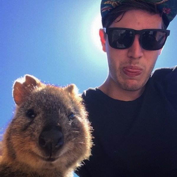 This quokka selfie is one of the funniest selfies with animals.