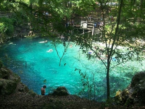Madison blue springs state park in Florida is one of the best swimming holes in America.