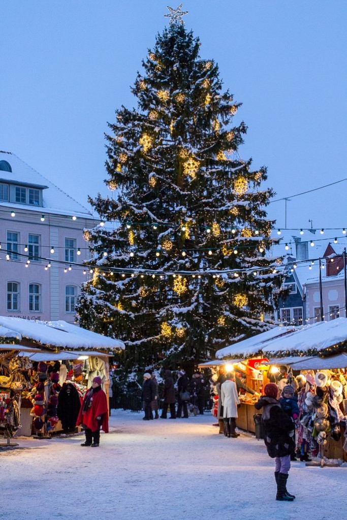 Visit Tallin in Estonia, one of the best Christmas markets in Europe.