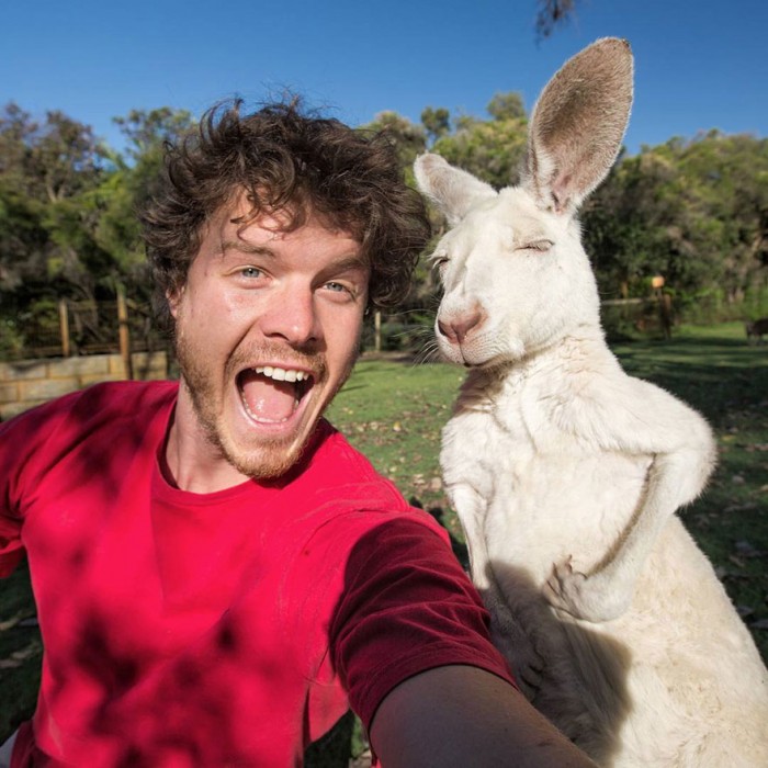 Funny animal selfies taken by a self-proclaimed animal whisperer Allan Dixon.