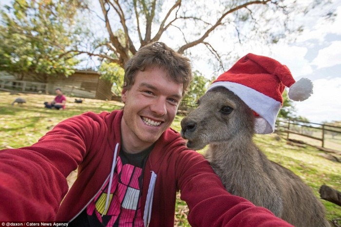These are 20 hilarious animal selfies taken by Allan Dixon.
