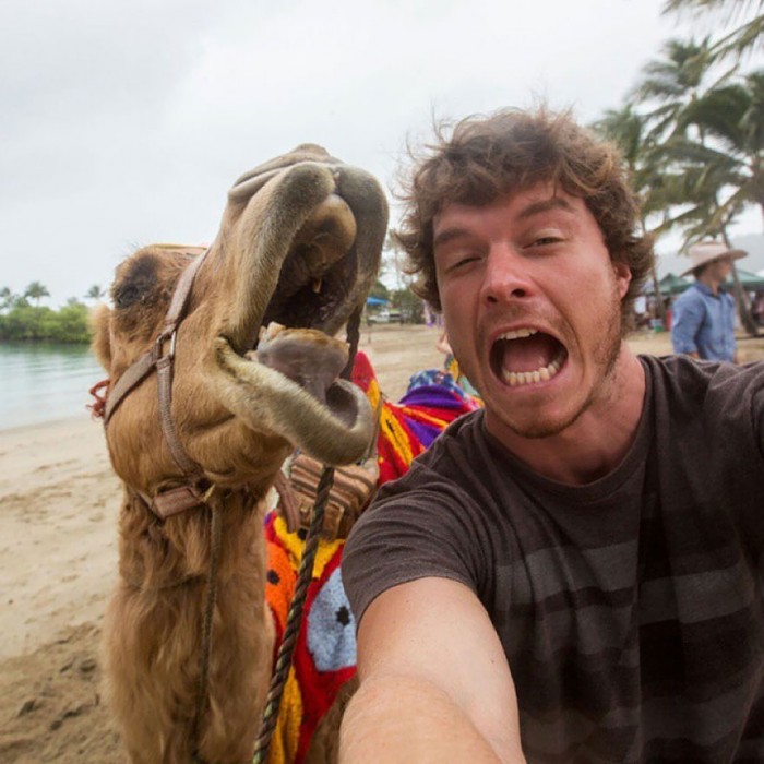 Funny animal selfies taken by a self-proclaimed animal whisperer Allan Dixon.