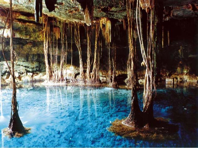 Cenote Dzitnup in Mexico is one of the most magical places on the planet. 