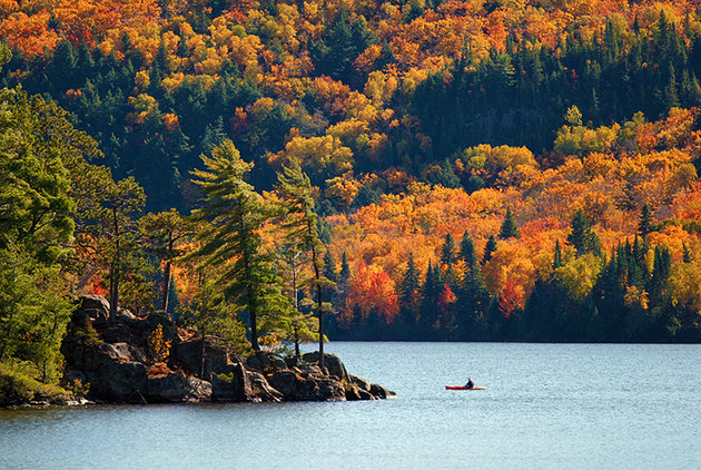 Algonquin Provincial park in Canada is one of the best post graduation destinations.