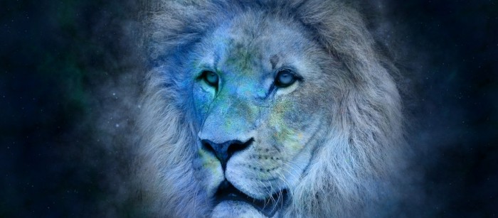 2017 horoscope predictions will give you a clear insight into how this year is going to turn out for Leo natives.