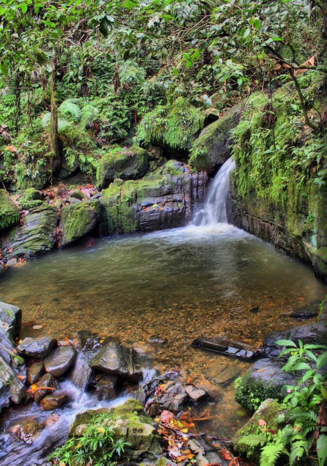 Puerto Rico is the go-to destination in the Caribbean. This is El Yunque rainforest.