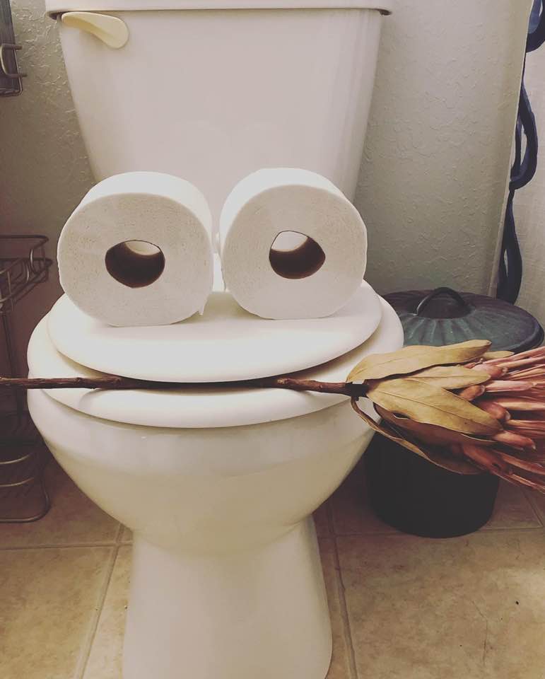 Hilarious toilet paper art is a new hobby to a girl from Illinois.