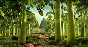 Celery Forest is one of the most incredible landscapes made of food by Carl Warner.